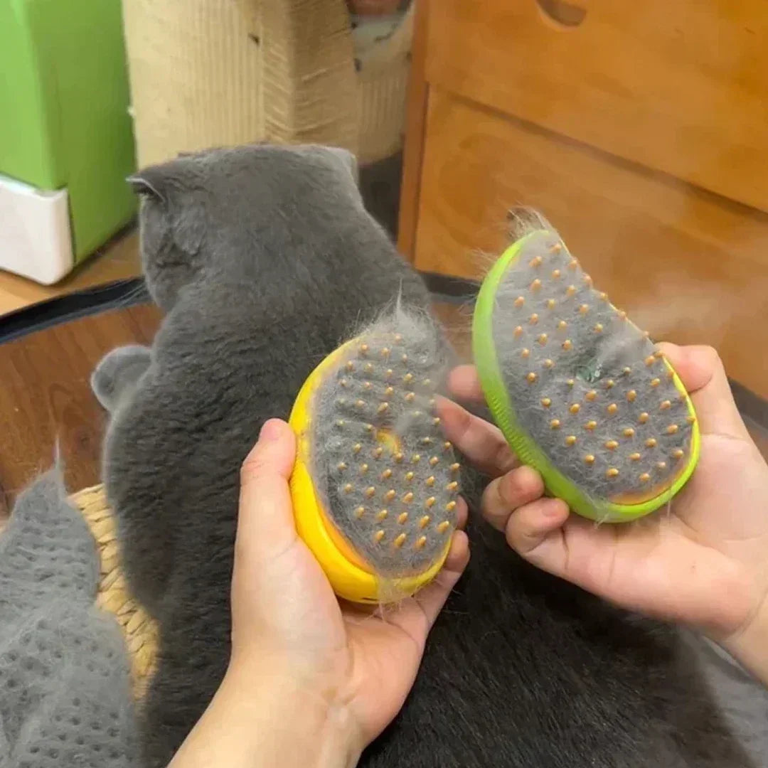 Electric Steamy Brush for pets